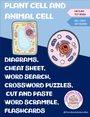 cell structure: test review worksheets grade 8