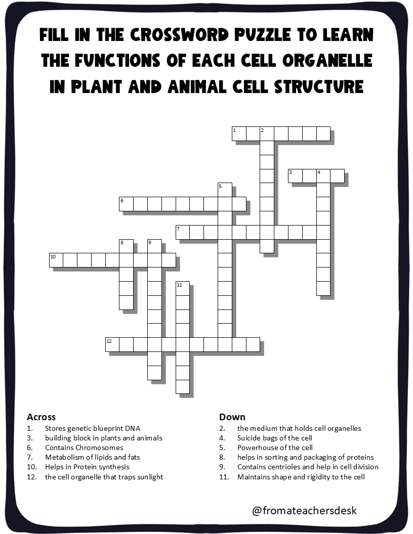 Cell Structure: Test Review Worksheets Grade 8 - From Books To Bundles