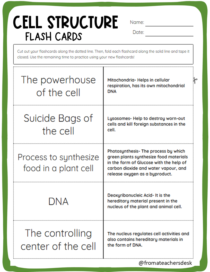 Cell Structure: Test Review Worksheets Grade 8 - From Books To Bundles